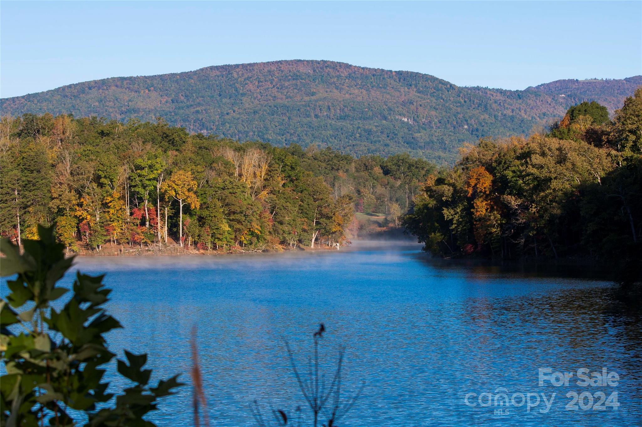 23 Mountain Parkway Mill Spring, NC 28756 - Photo 13 of 15 a view of a mountain with an outdoor space