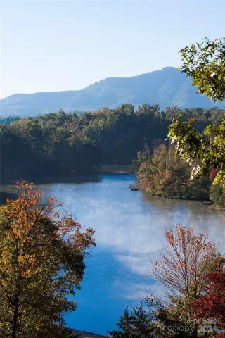 a view of a lake with a mountain