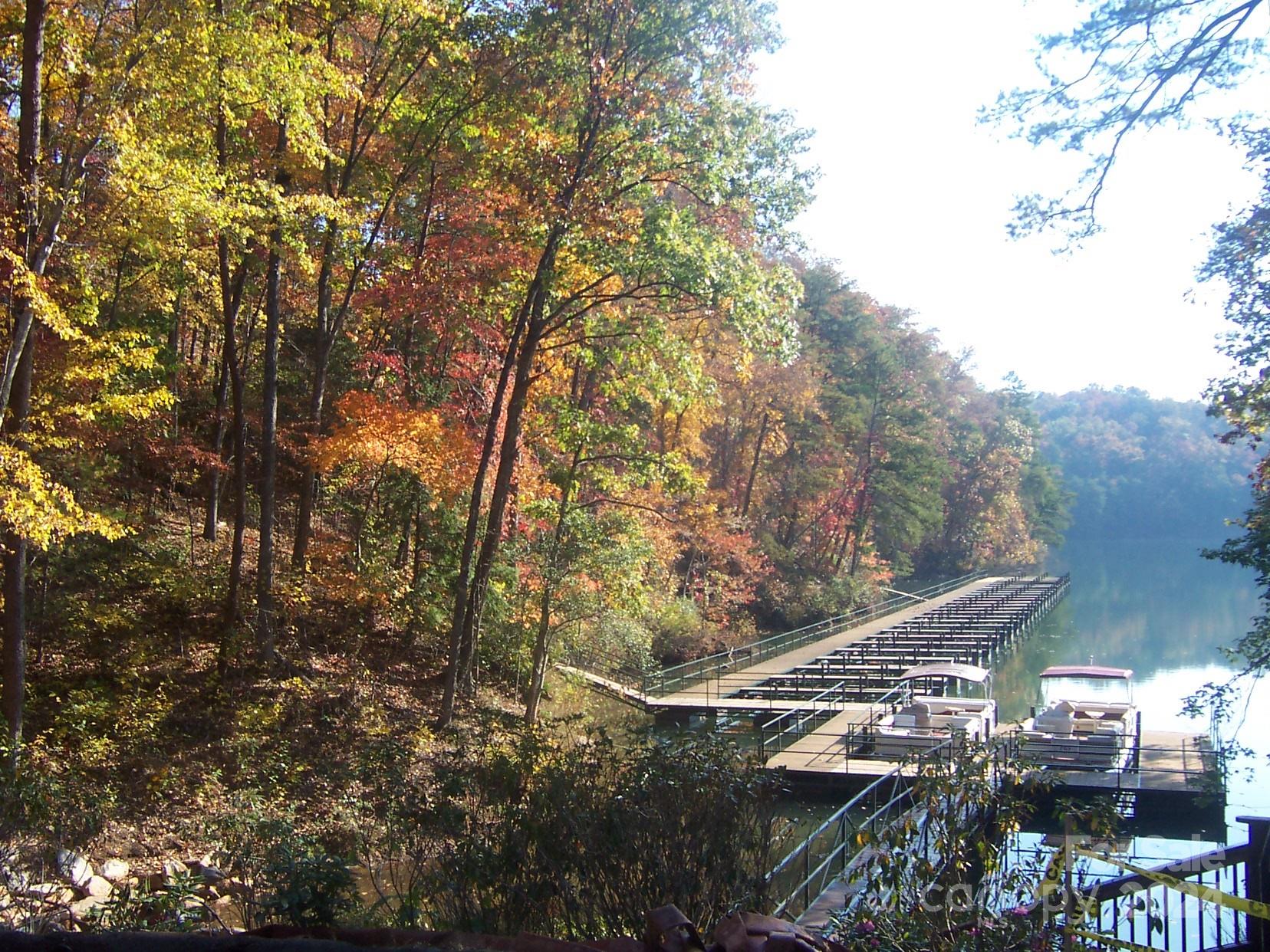 23 Mountain Parkway Mill Spring, NC 28756 - Photo 15 of 15 a view of forest