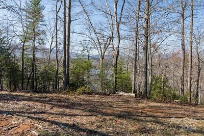 23 Mountain Parkway Mill Spring, NC 28756 - Photo 3 of 15 a view of outdoor space with trees