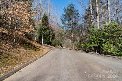 23 Mountain Parkway Mill Spring, NC 28756 - Photo 4 of 15 a view of a road with a yard