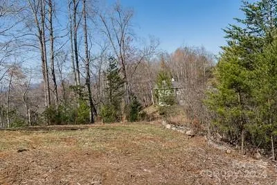 a view of a yard with trees