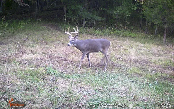 $799,900 | 6528 Neeley Creek Road, Celina, TN 38551