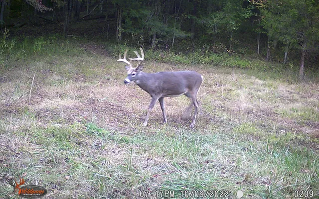 a view of a backyard of a house