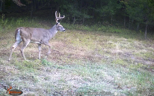 $799,900 | 6528 Neeley Creek Road, Celina, TN 38551