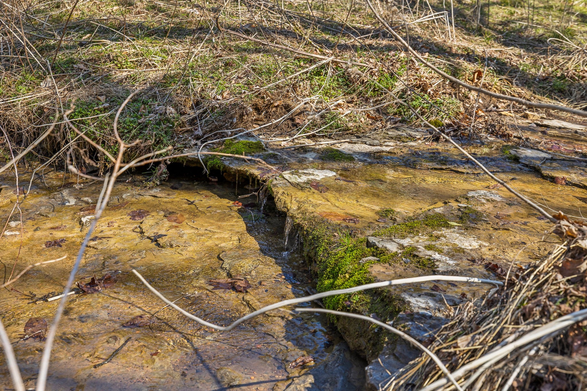 6528 Neeley Creek Road Celina, TN 38551 - Photo 19 of 61 a view of swimming pool