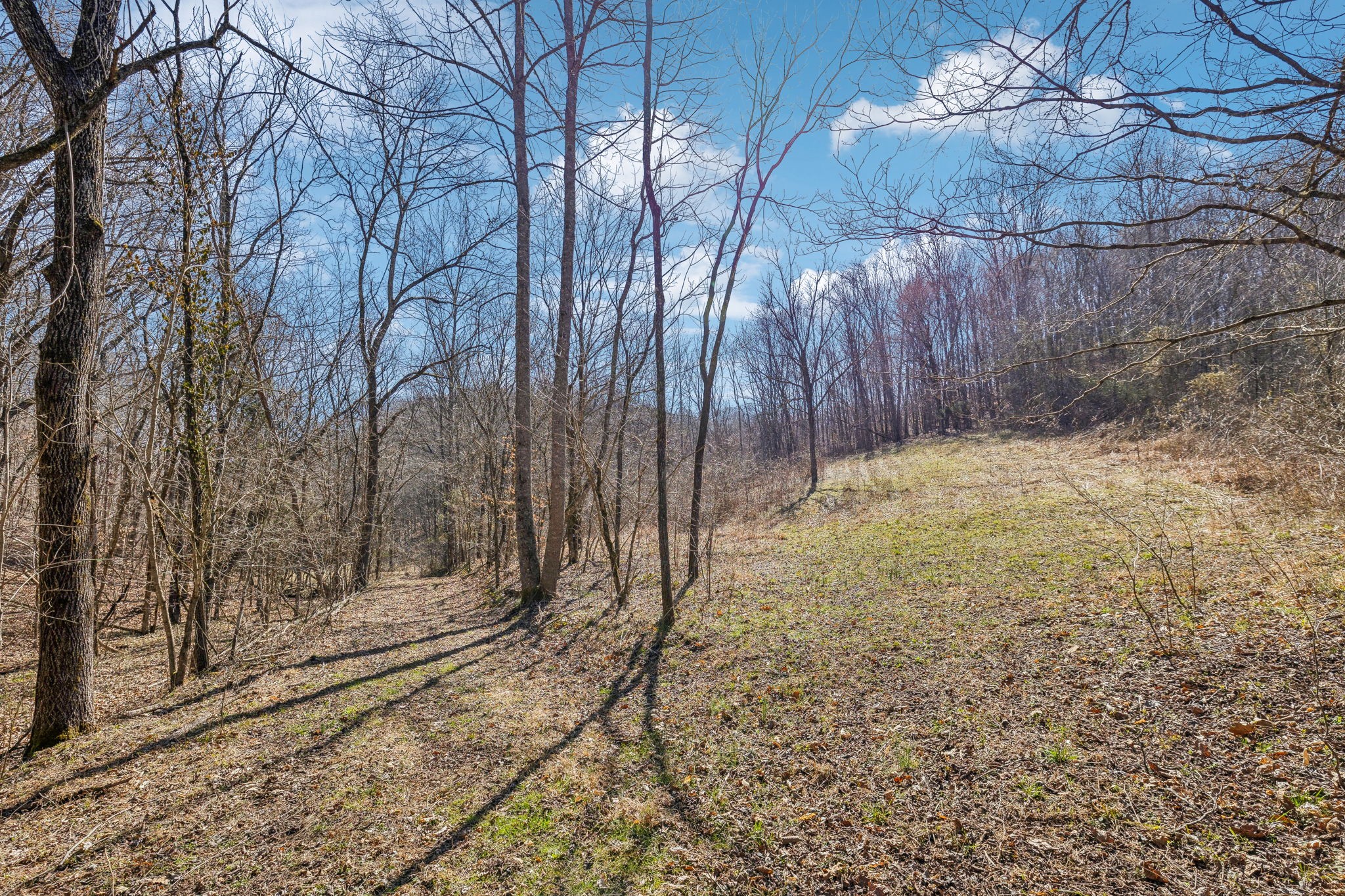 6528 Neeley Creek Road Celina, TN 38551 - Photo 20 of 61 a view of a yard with wooden fence