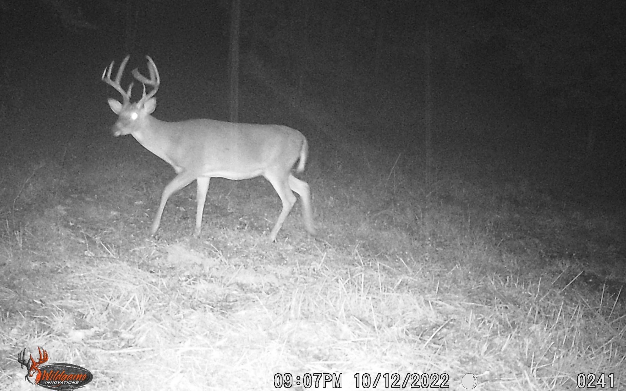 6528 Neeley Creek Road Celina, TN 38551 - Photo 22 of 61