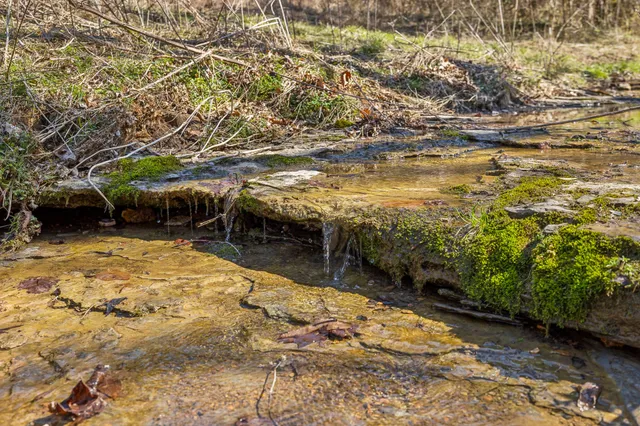 $835,000 | 6528 Neeley Creek Road, Celina, TN 38551