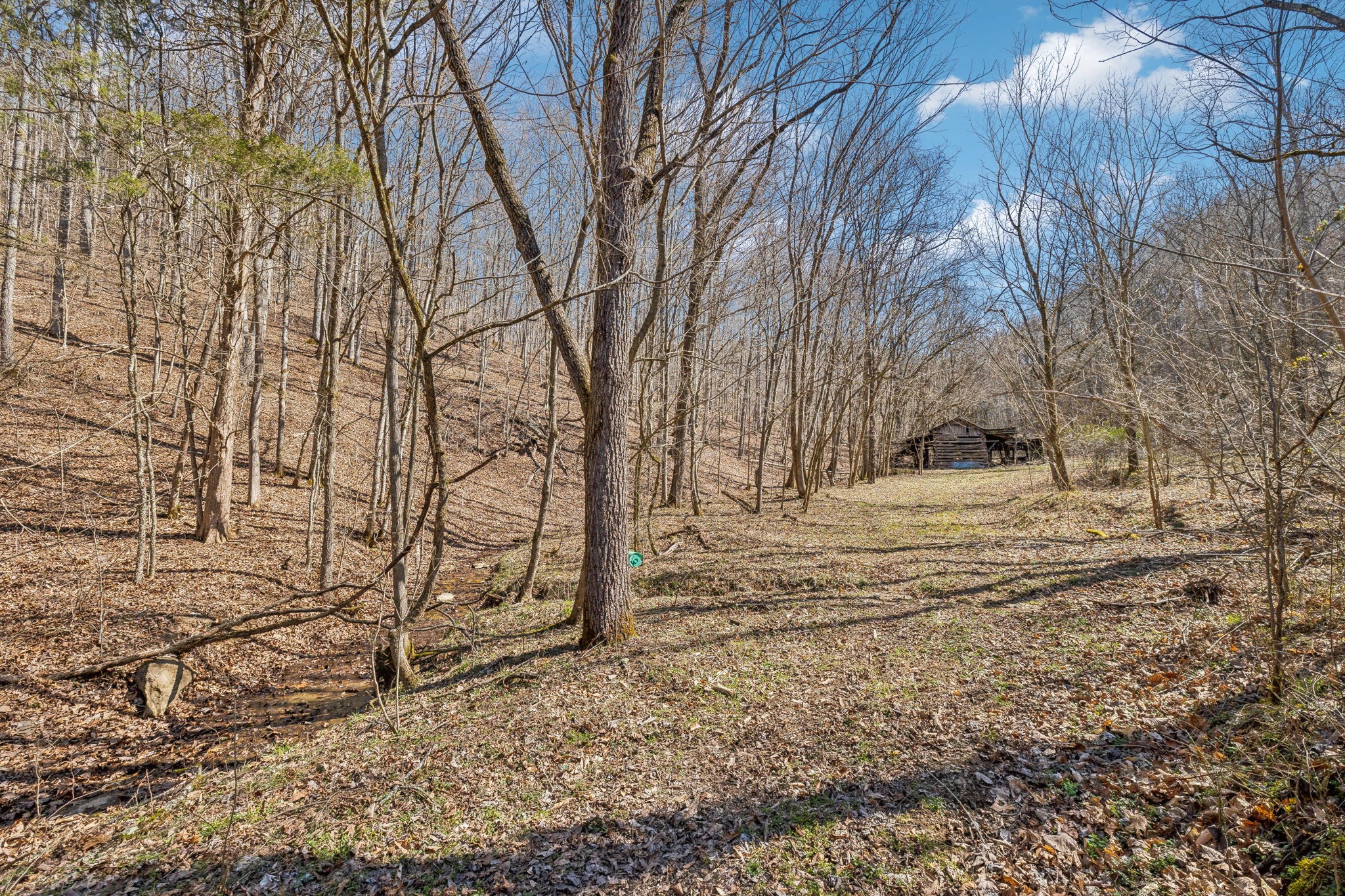 6528 Neeley Creek Road Celina, TN 38551 - Photo 24 of 61