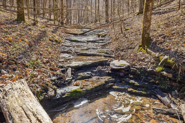 $835,000 | 6528 Neeley Creek Road, Celina, TN 38551