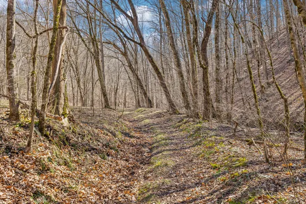 $799,900 | 6528 Neeley Creek Road, Celina, TN 38551