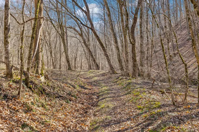 $835,000 | 6528 Neeley Creek Road, Celina, TN 38551