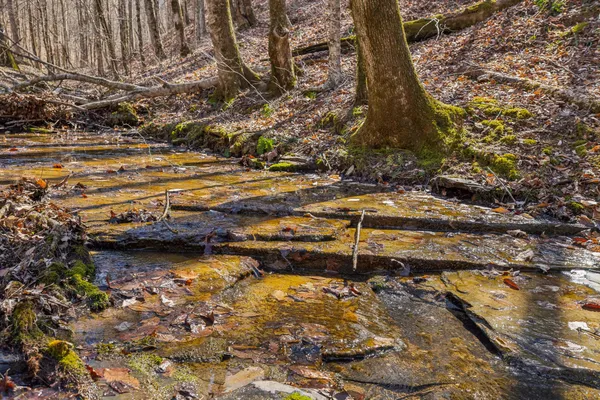 $799,900 | 6528 Neeley Creek Road, Celina, TN 38551