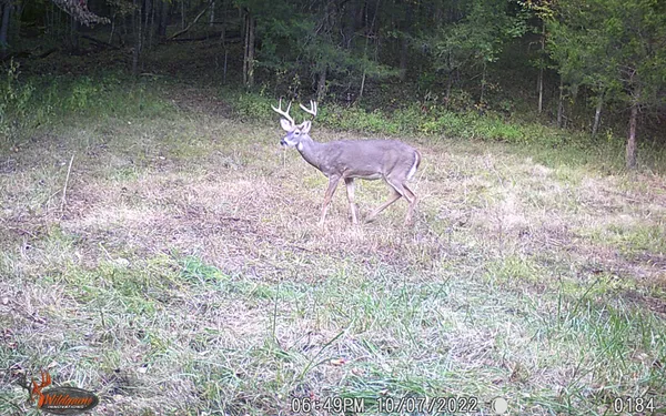 $799,900 | 6528 Neeley Creek Road, Celina, TN 38551