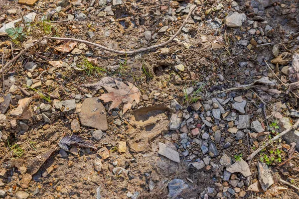 $799,900 | 6528 Neeley Creek Road, Celina, TN 38551