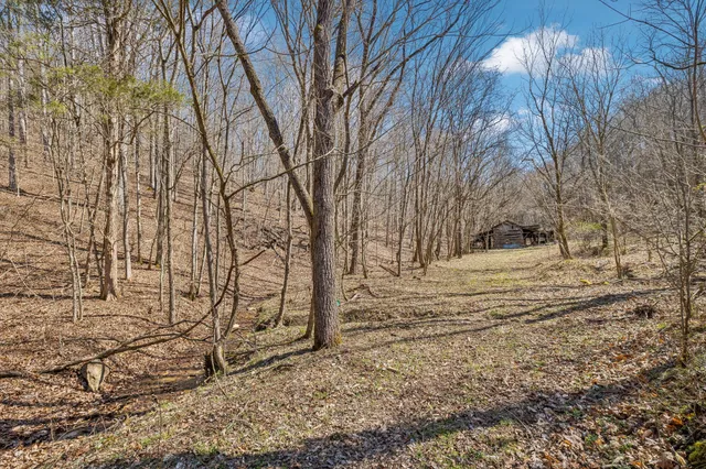 $835,000 | 6528 Neeley Creek Road, Celina, TN 38551