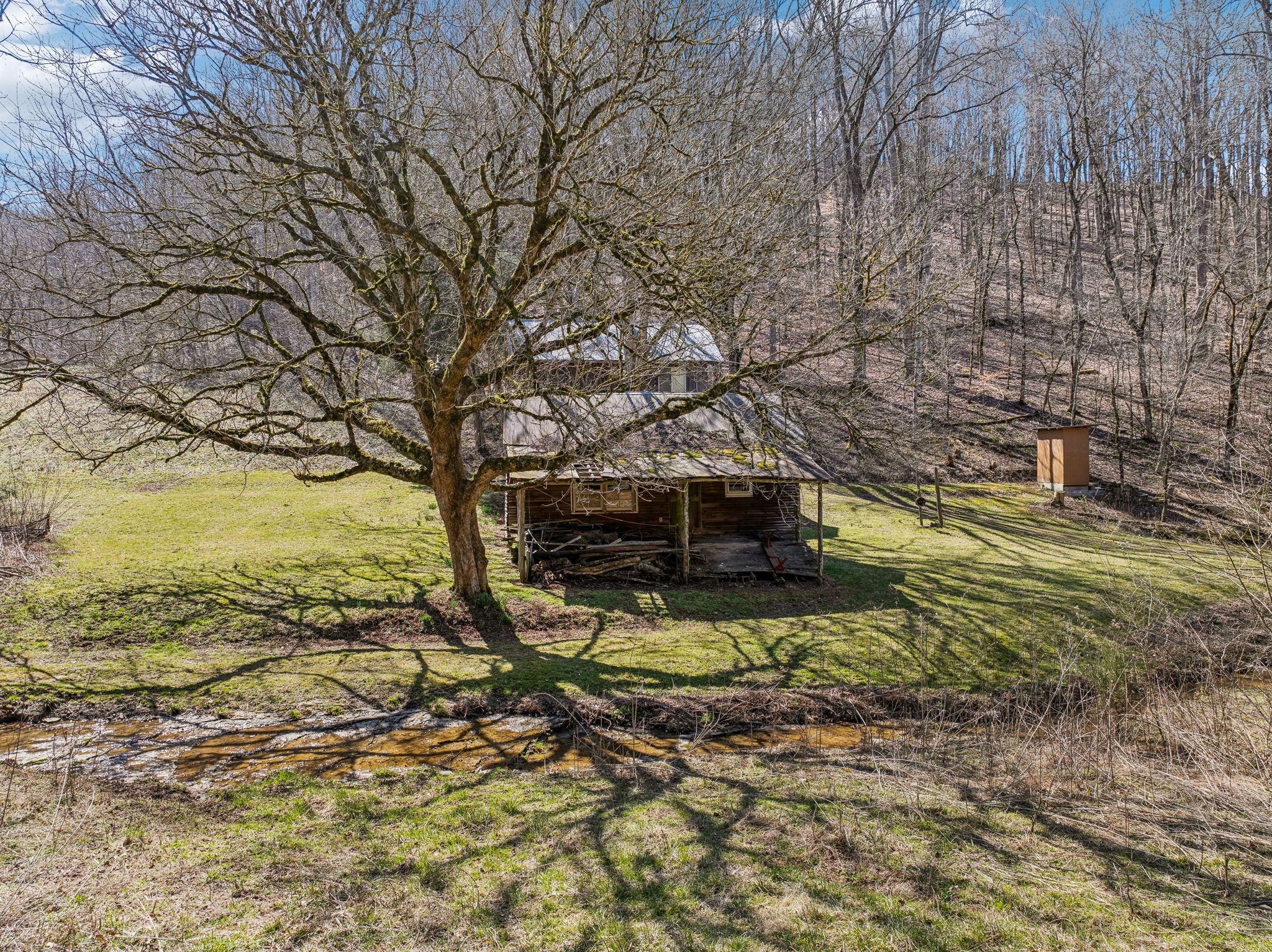 6528 Neeley Creek Road Celina, TN 38551 - Photo 39 of 61