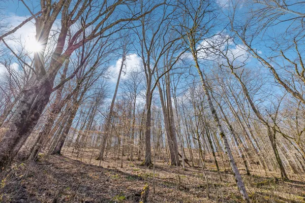 $799,900 | 6528 Neeley Creek Road, Celina, TN 38551