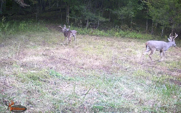 $799,900 | 6528 Neeley Creek Road, Celina, TN 38551