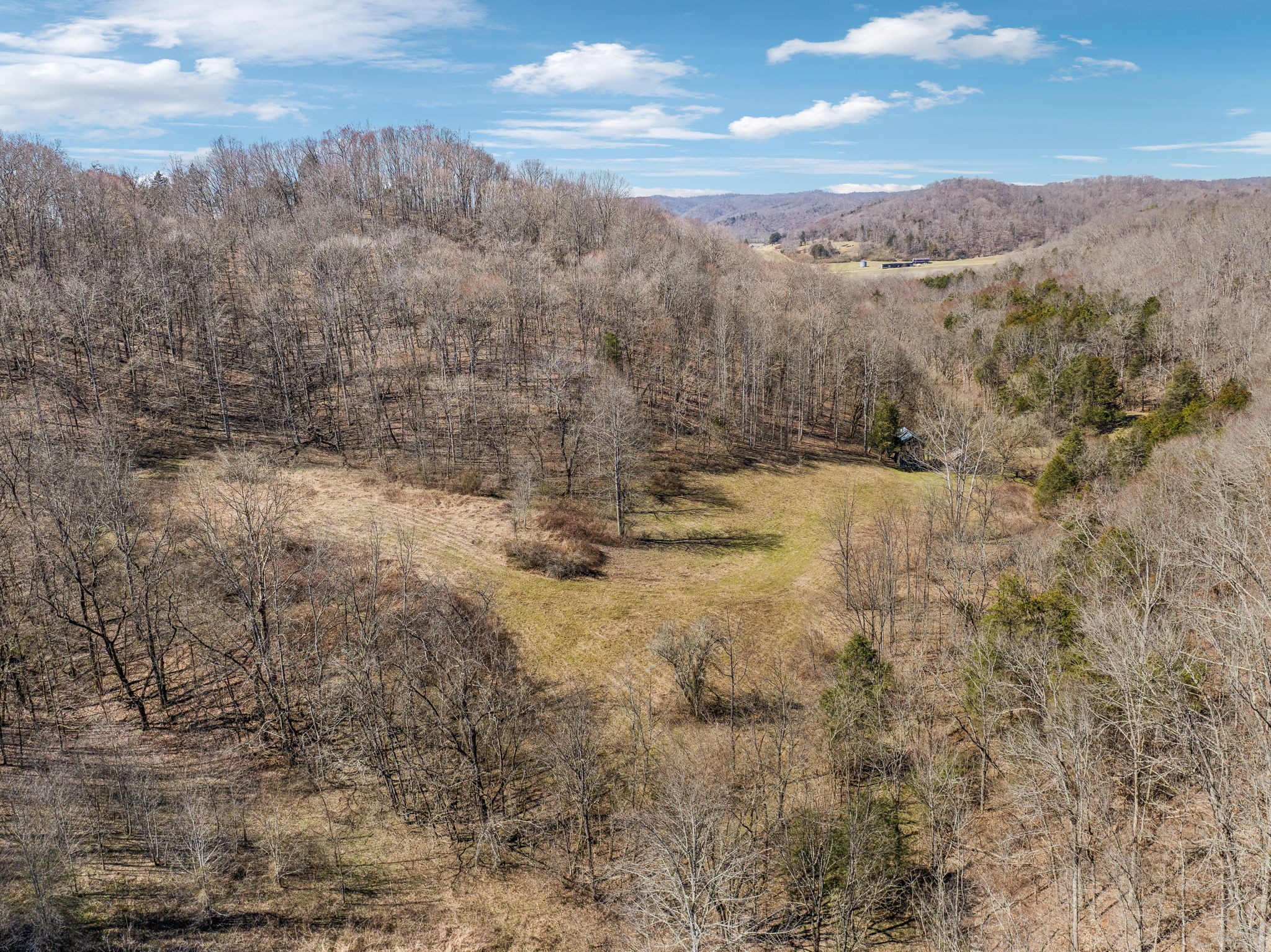 6528 Neeley Creek Road Celina, TN 38551 - Photo 46 of 61 a view of a dry yard covered with snow