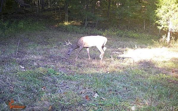 $799,900 | 6528 Neeley Creek Road, Celina, TN 38551