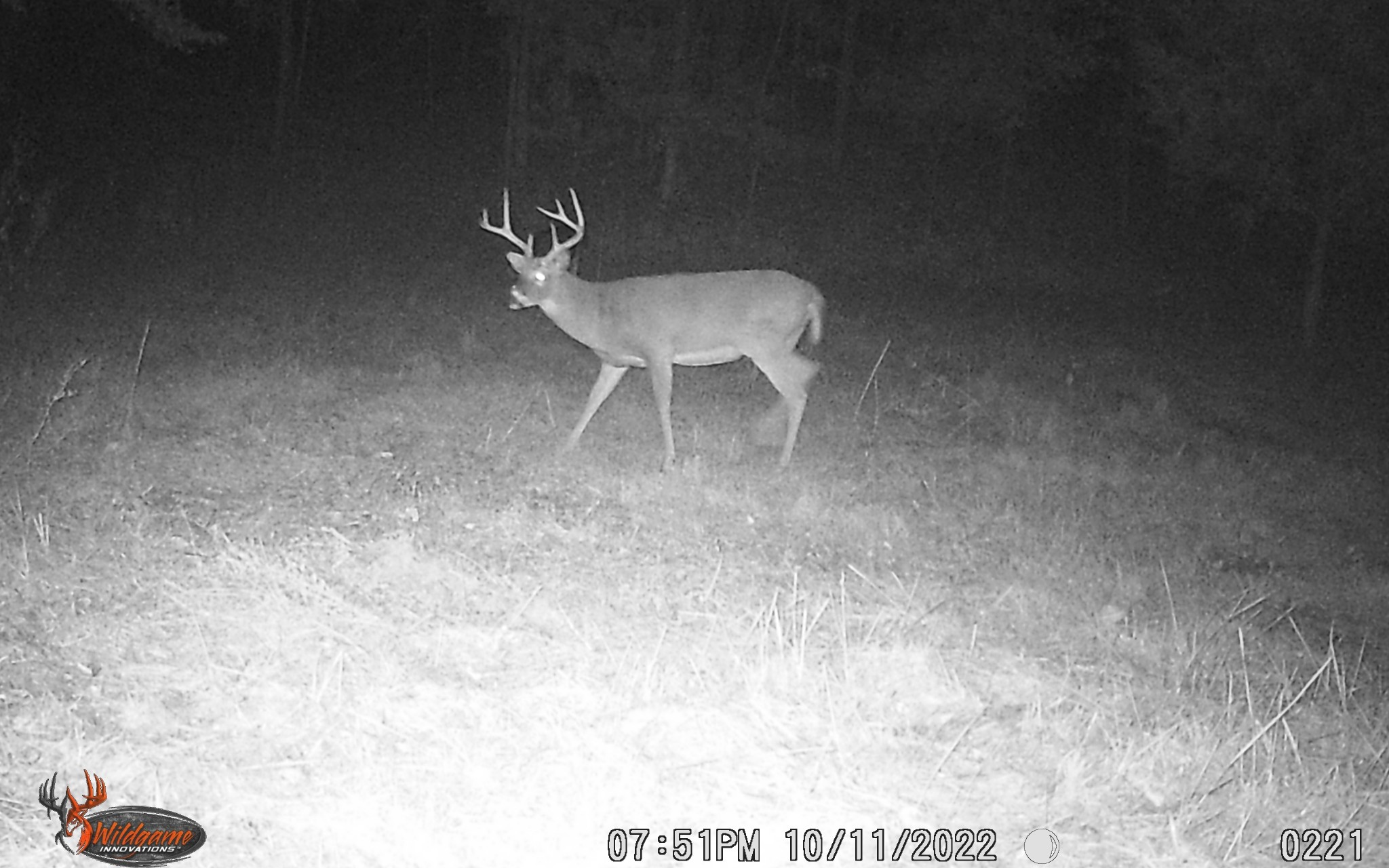 6528 Neeley Creek Road Celina, TN 38551 - Photo 52 of 61