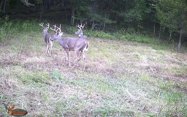 $799,900 | 6528 Neeley Creek Road, Celina, TN 38551