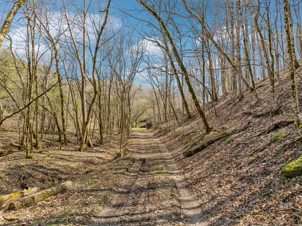 $799,900 | 6528 Neeley Creek Road, Celina, TN 38551