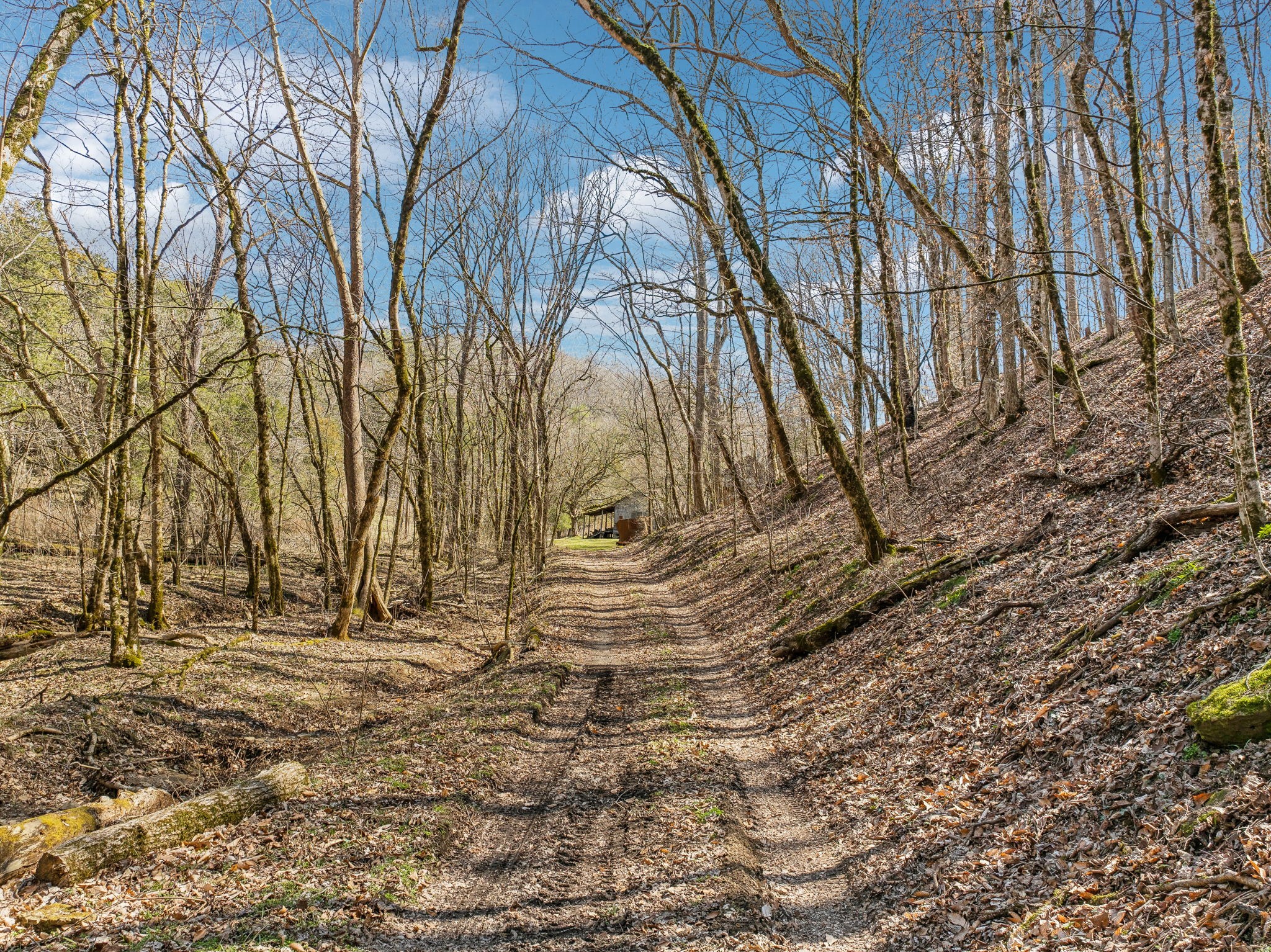 6528 Neeley Creek Road Celina, TN 38551 - Photo 8 of 61