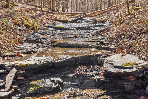 $799,900 | 6528 Neeley Creek Road, Celina, TN 38551