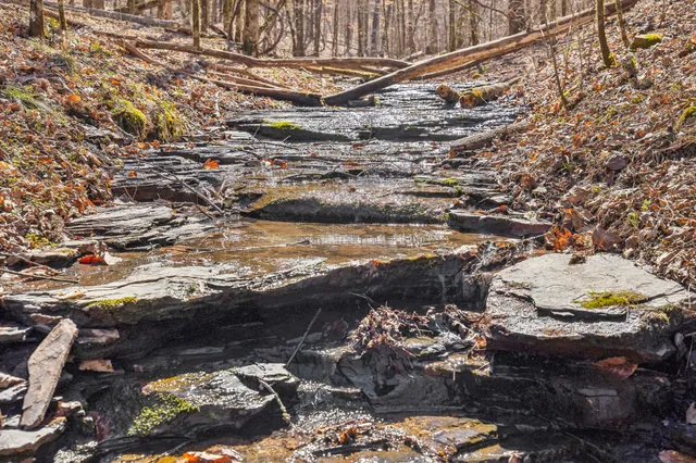 a view of outdoor space with wooden floor