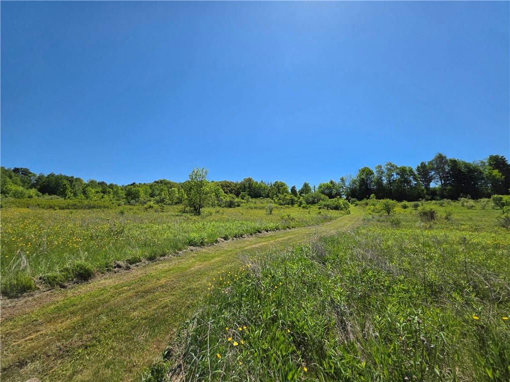 1069 Bollen Road, Unit 1066 Troupsburg, NY 14885 - Photo 39 of 50