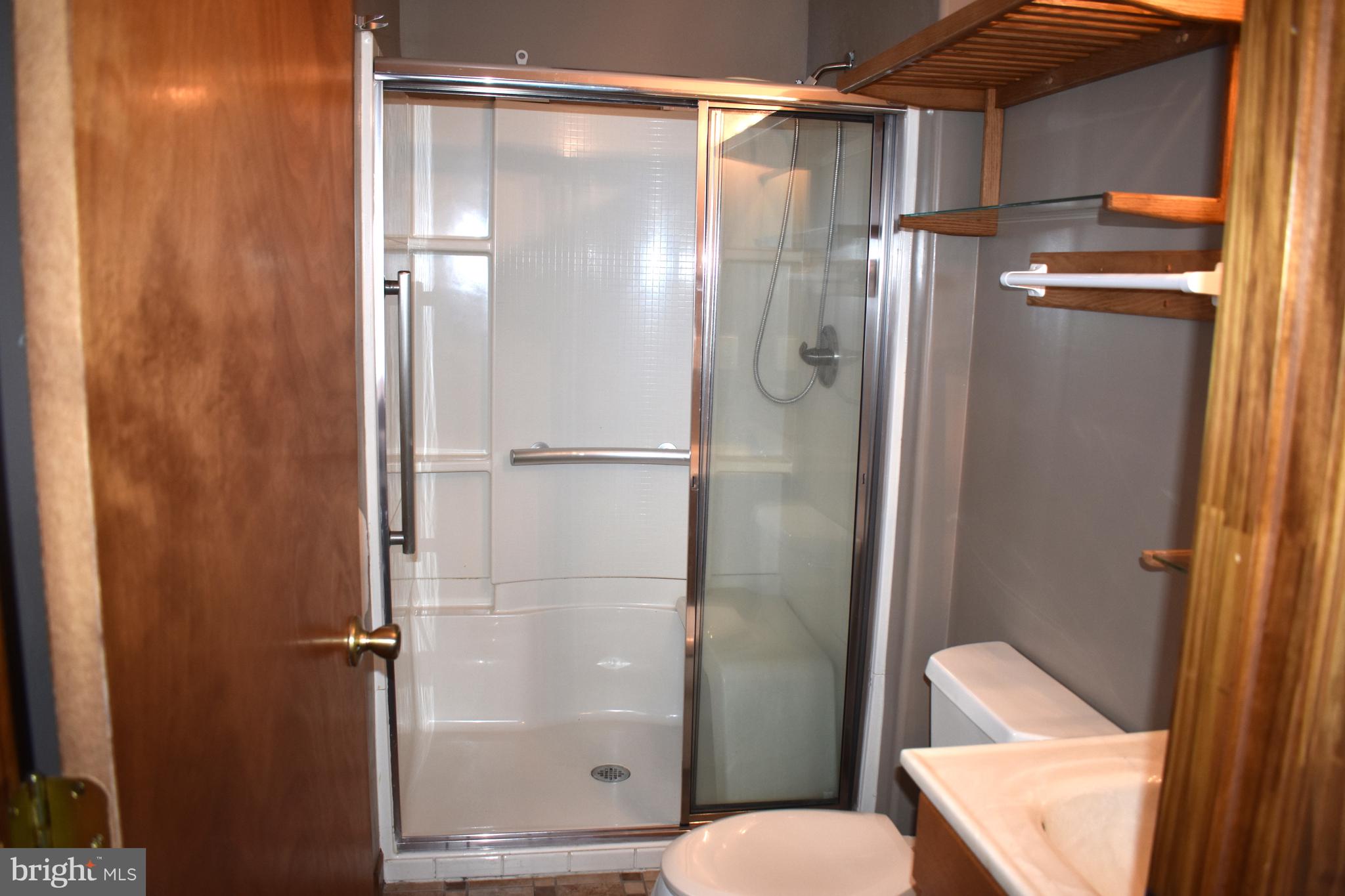 477 Barratts Chapel Road Felton, DE 19943 - Photo 13 of 26 Master bath w walk-in shower