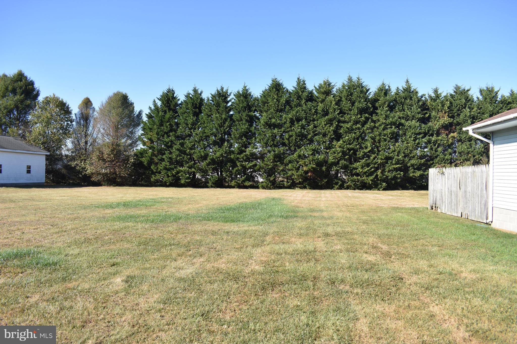 477 Barratts Chapel Road Felton, DE 19943 - Photo 26 of 26 Tree lined backyard