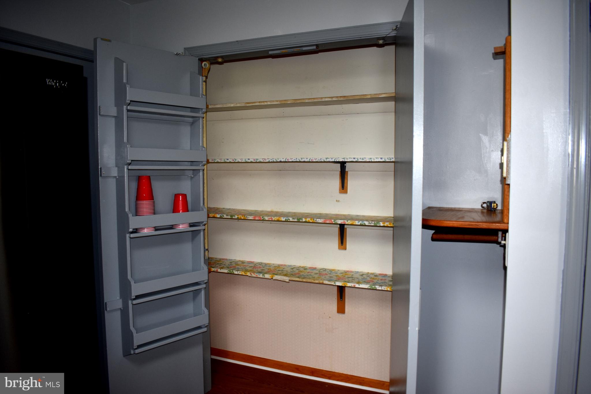 477 Barratts Chapel Road Felton, DE 19943 - Photo 9 of 26 Large pantry w door storage