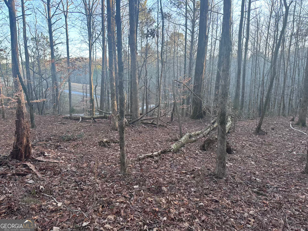 0 Red Branch Road Talking Rock, GA 30175 - Photo 1 of 1 a backyard of a house with lots of green space