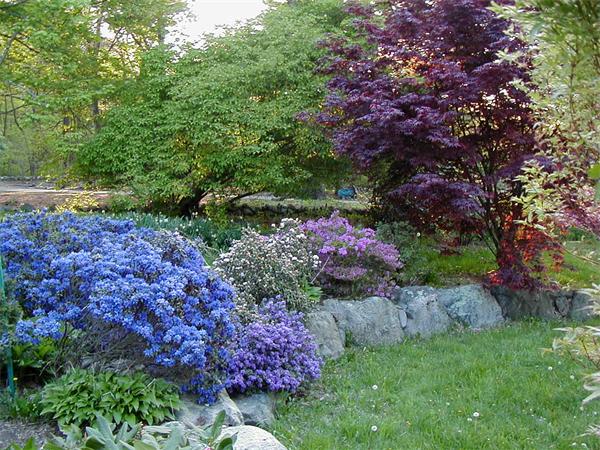 12 Hawk Hill Road Lincoln, MA 01773 - Photo 22 of 24