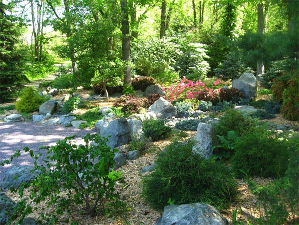 12 Hawk Hill Road Lincoln, MA 01773 - Photo 6 of 24