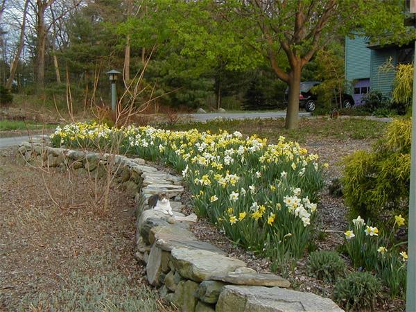 12 Hawk Hill Road Lincoln, MA 01773 - Photo 7 of 24