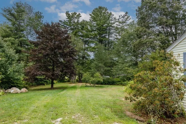 a view of a tree in a yard