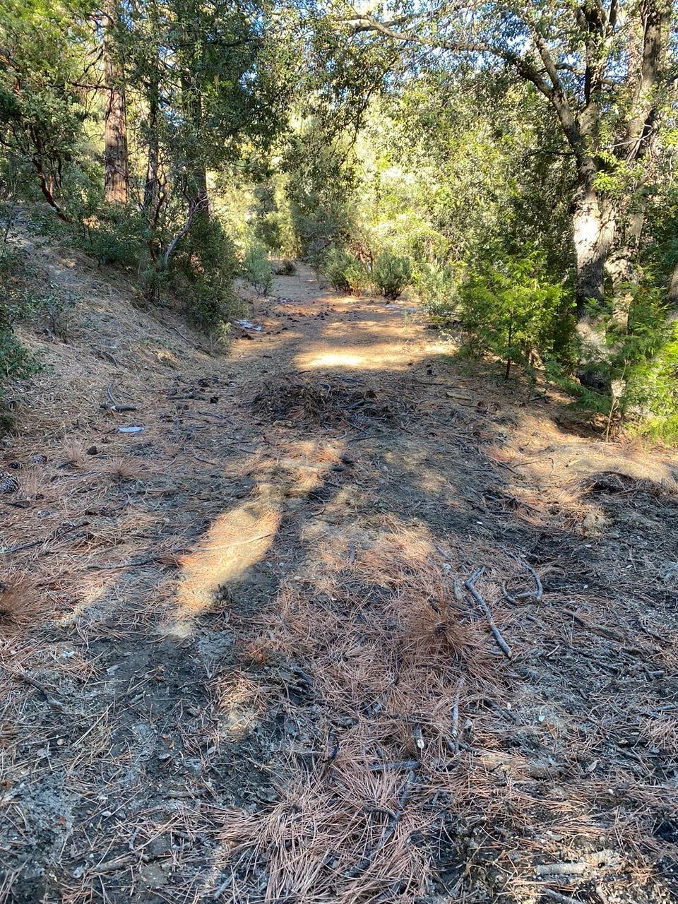 0 Lakeview Drive Idyllwild, CA 92549 - Photo 6 of 7 a view of outdoor space with trees all around