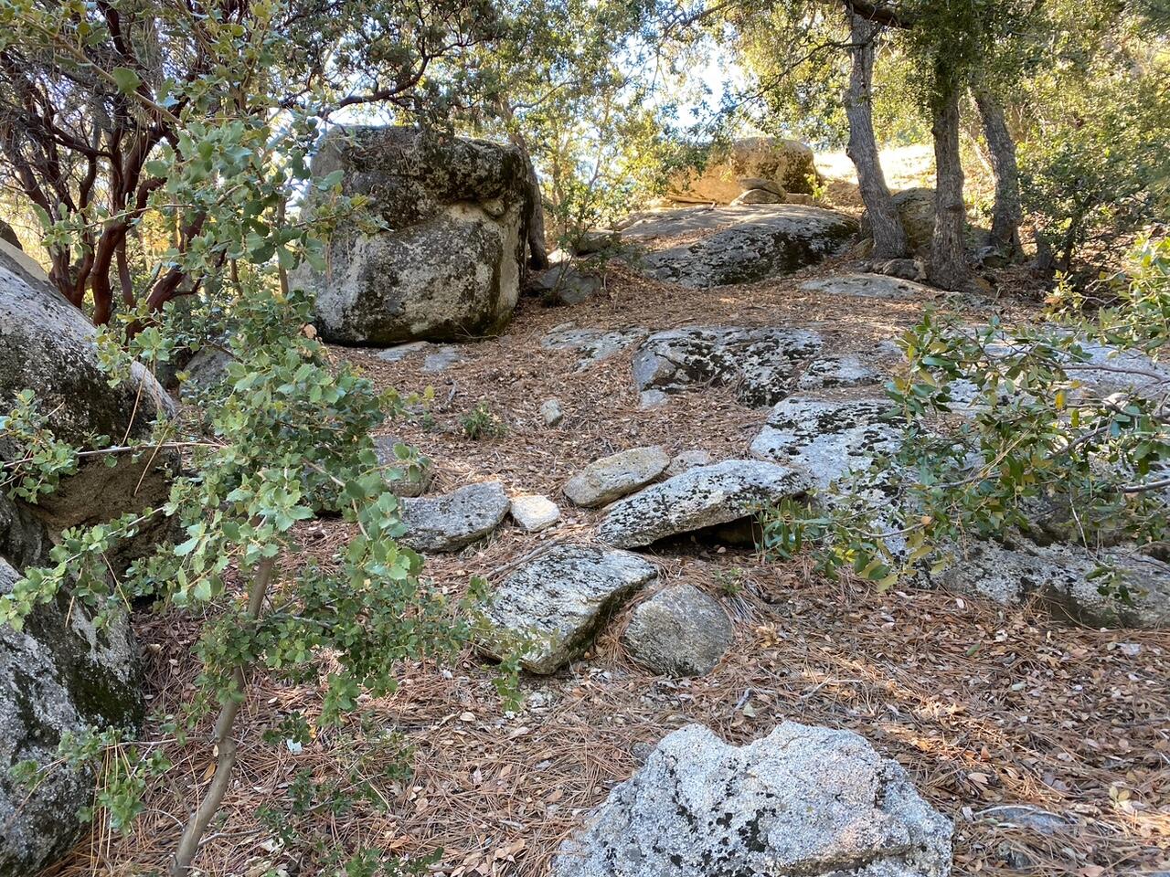 0 Lakeview Drive Idyllwild, CA 92549 - Photo 7 of 7 a backyard of a house with lots of green space