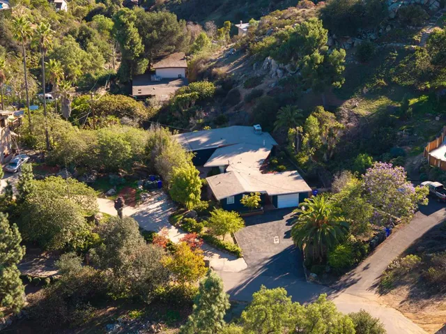a view of a flower in a garden