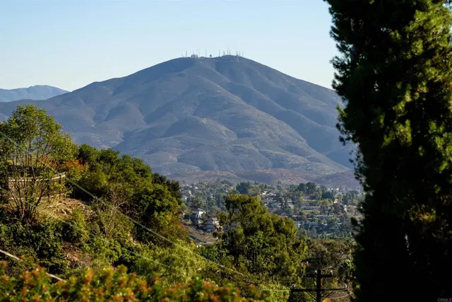 a view of a dry yard with plants and a large tree