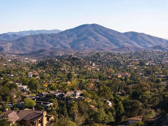 a view of a large tree in a field