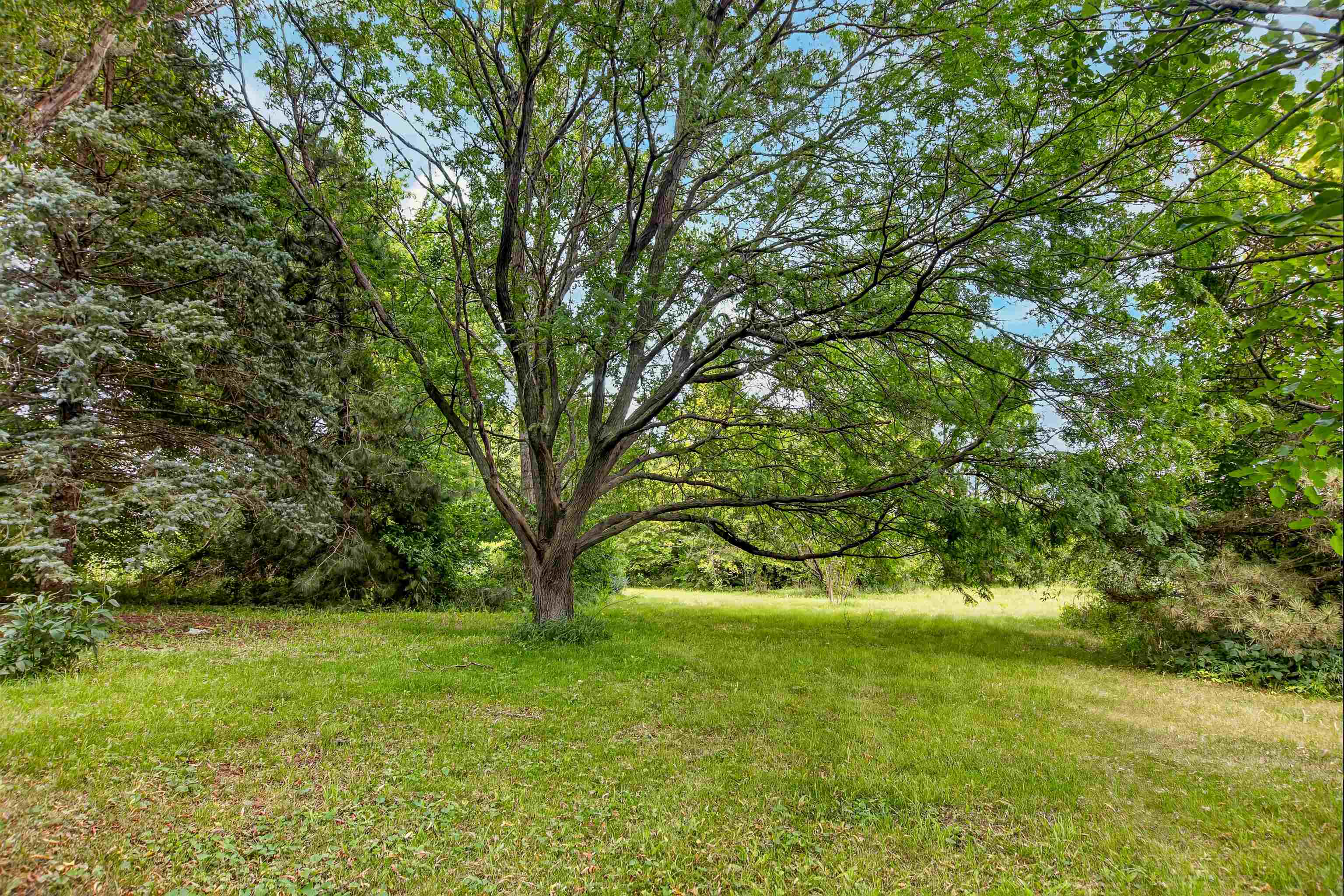 7772 East Kelley Road Ridott, IL 61067 - Photo 18 of 50