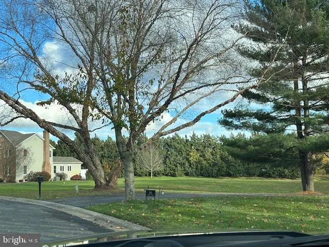 a view of a big yard with large trees
