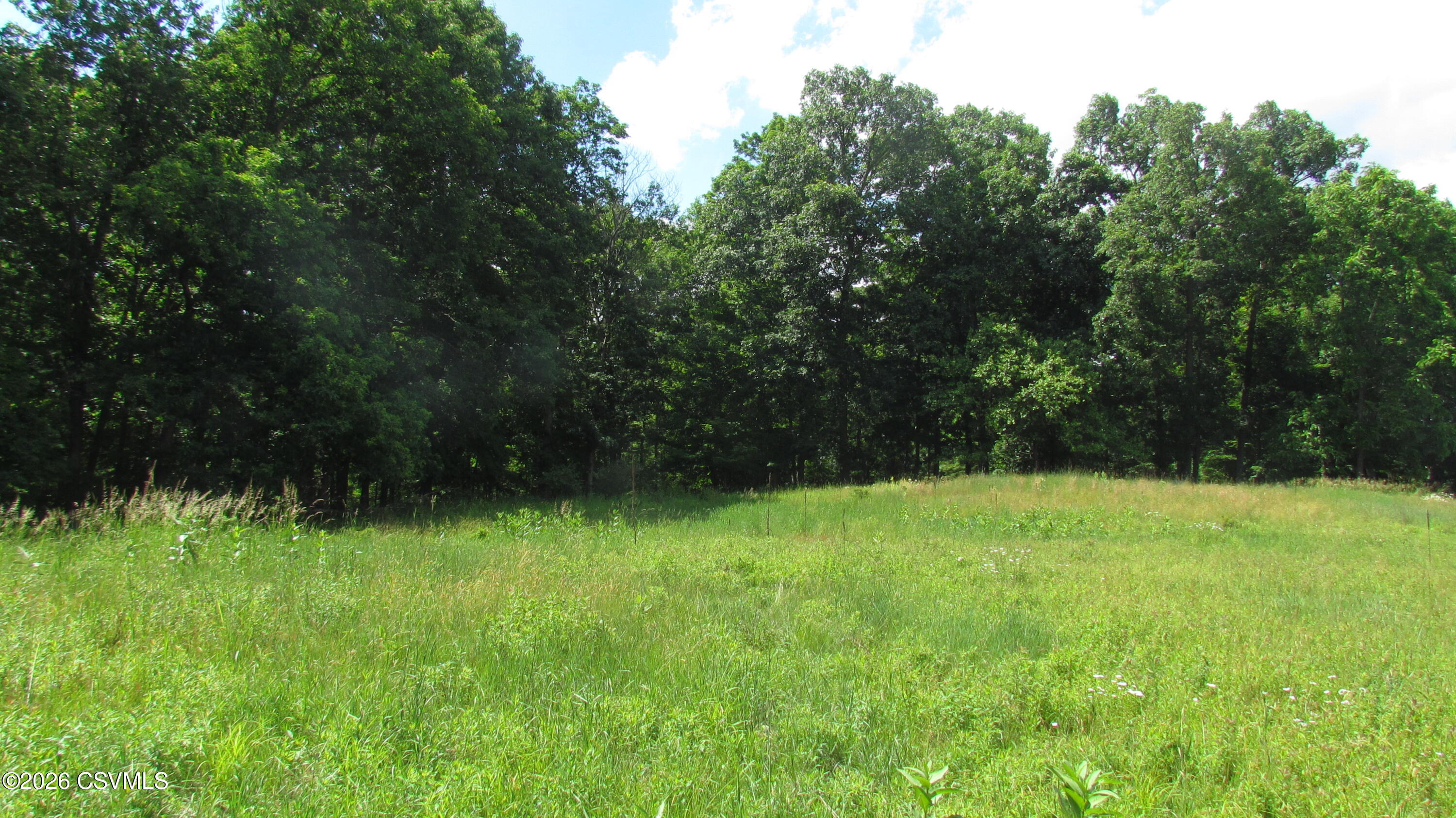 Johnson Road Shickshinny, PA 18655 - Photo 11 of 26 Gallery Image 11