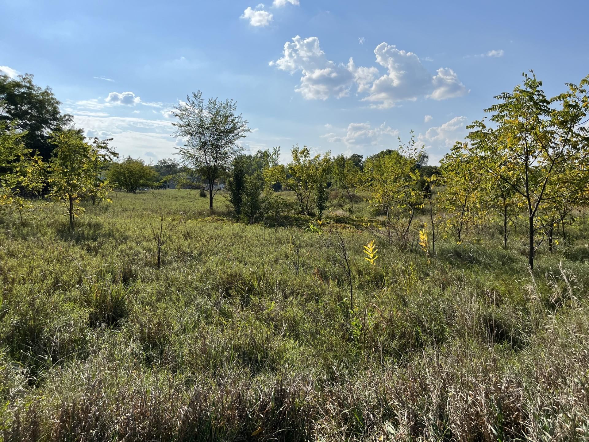 Lot 4 North Silver Fremont In  